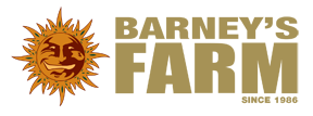 Barneys Farm CannabisfrÖn